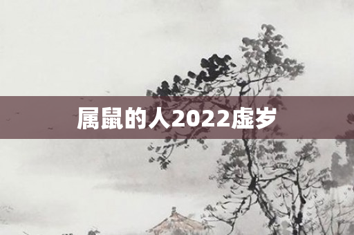 属鼠的人2022虚岁