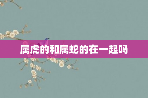 属虎的和属蛇的在一起吗