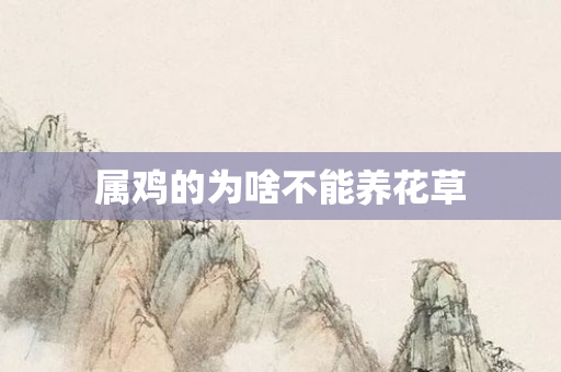属鸡的为啥不能养花草