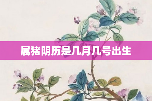 属猪阴历是几月几号出生