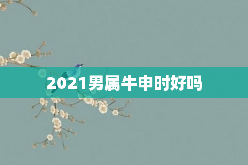 2021男属牛申时好吗
