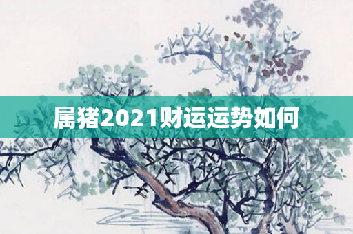 属猪2021财运运势如何
