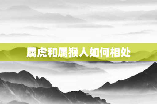 属虎和属猴人如何相处