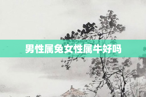 男性属兔女性属牛好吗