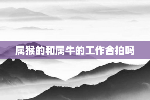 属猴的和属牛的工作合拍吗