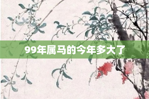 99年属马的今年多大了