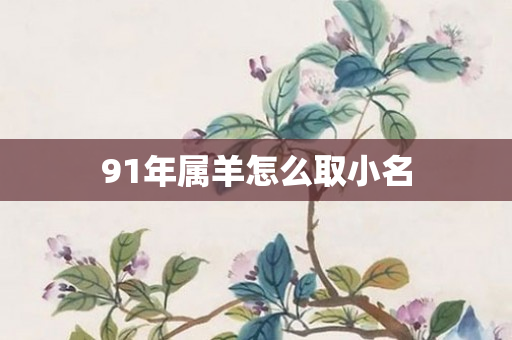 91年属羊怎么取小名