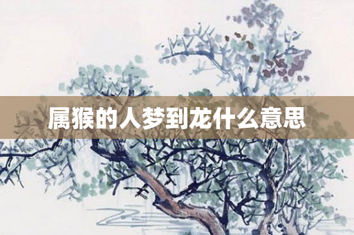 属猴的人梦到龙什么意思