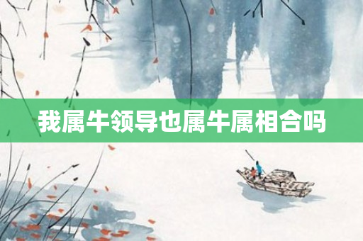 我属牛领导也属牛属相合吗