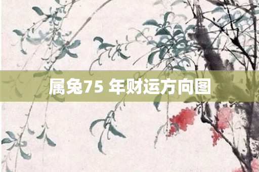 属兔75 年财运方向图