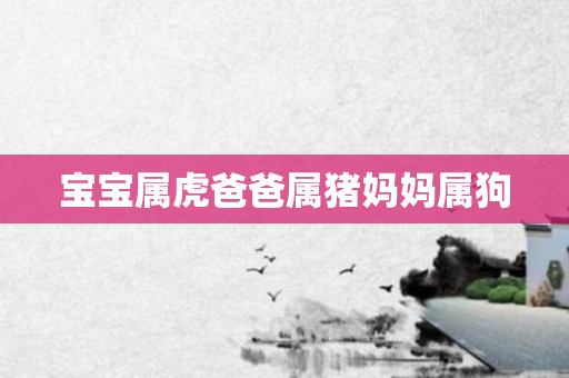 宝宝属虎爸爸属猪妈妈属狗