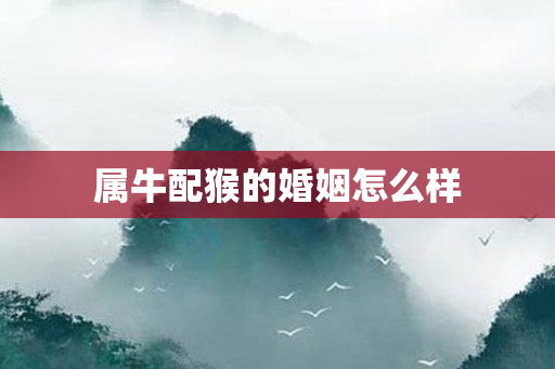 属牛配猴的婚姻怎么样