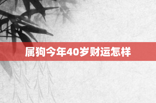 属狗今年40岁财运怎样
