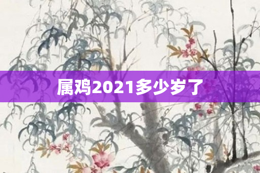 属鸡2021多少岁了
