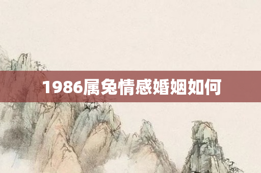 1986属兔情感婚姻如何