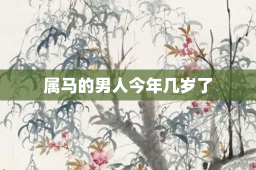 属马的男人今年几岁了