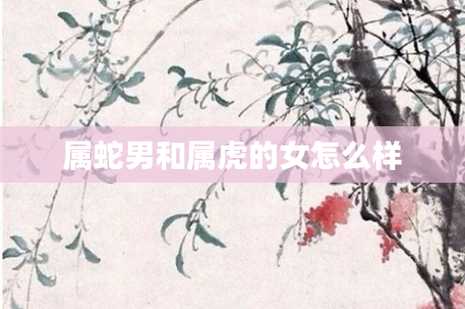 属蛇男和属虎的女怎么样
