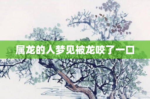 属龙的人梦见被龙咬了一口
