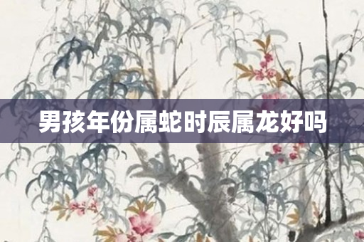 男孩年份属蛇时辰属龙好吗