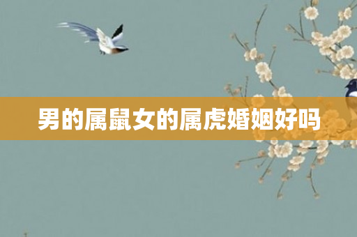 男的属鼠女的属虎婚姻好吗