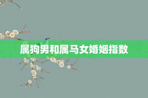 属狗男和属马女婚姻指数
