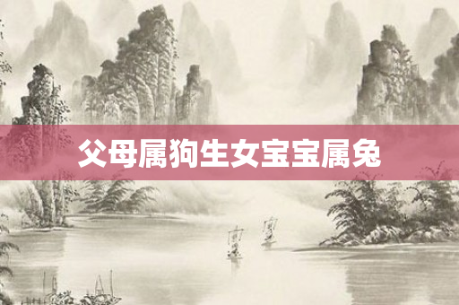 父母属狗生女宝宝属兔