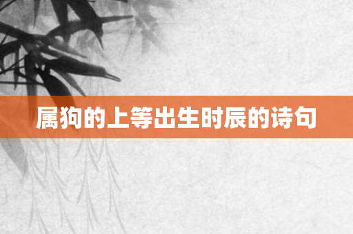 属狗的上等出生时辰的诗句