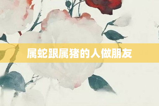 属蛇跟属猪的人做朋友
