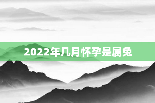 2022年几月怀孕是属兔