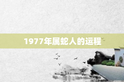 1977年属蛇人的运程