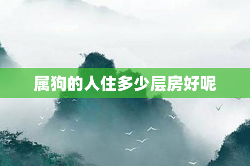 属狗的人住多少层房好呢