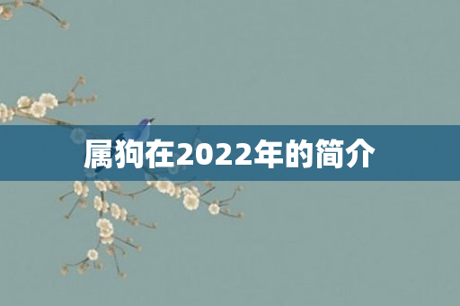 属狗在2022年的简介