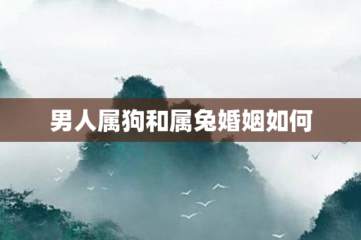 男人属狗和属兔婚姻如何