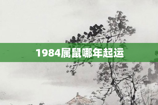 1984属鼠哪年起运