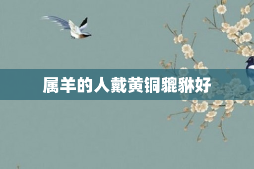 属羊的人戴黄铜貔貅好