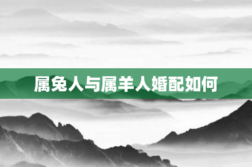 属兔人与属羊人婚配如何
