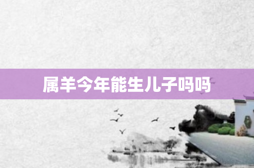 属羊今年能生儿子吗吗