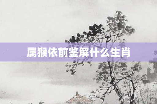 属猴依前鉴解什么生肖