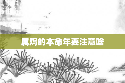 属鸡的本命年要注意啥