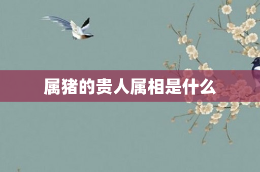 属猪的贵人属相是什么