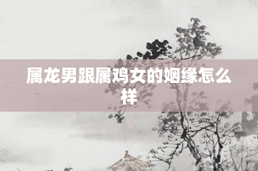 属龙男跟属鸡女的姻缘怎么样