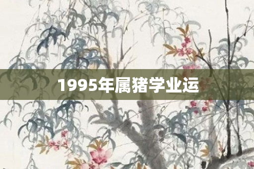 1995年属猪学业运