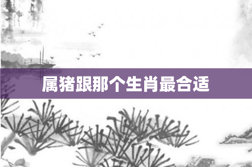 属猪跟那个生肖最合适