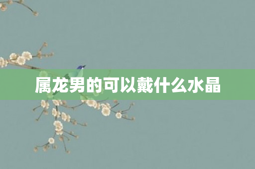 属龙男的可以戴什么水晶