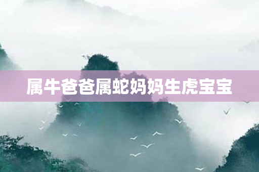 属牛爸爸属蛇妈妈生虎宝宝
