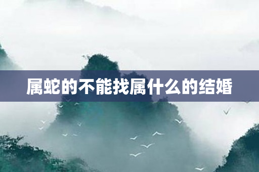 属蛇的不能找属什么的结婚