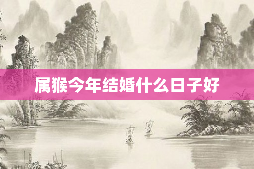 属猴今年结婚什么日子好