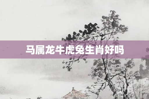 马属龙牛虎兔生肖好吗