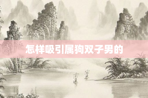 怎样吸引属狗双子男的
