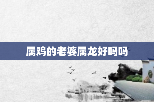 属鸡的老婆属龙好吗吗